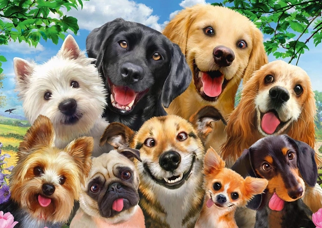 Schmidt Puzzle Hunde-Selfie 500 Teile