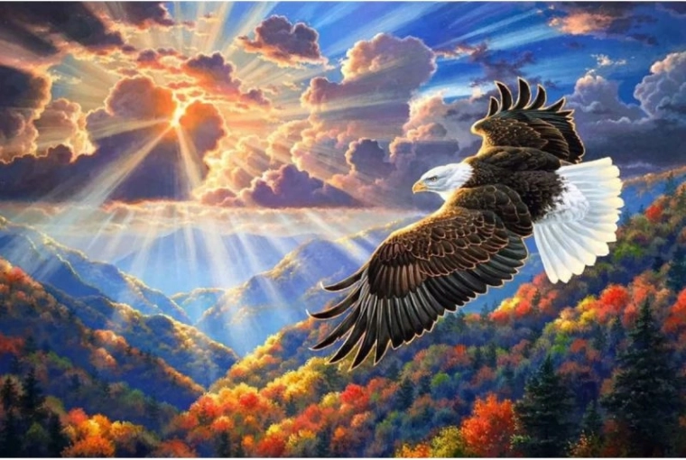 Diamant-Mosaik (Diamond Painting) Adler am Himmel 40 × 30 cm