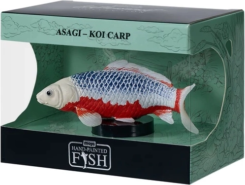 Mojo Koi-Karpfen Asagi in der Schachtel - 1 Stück