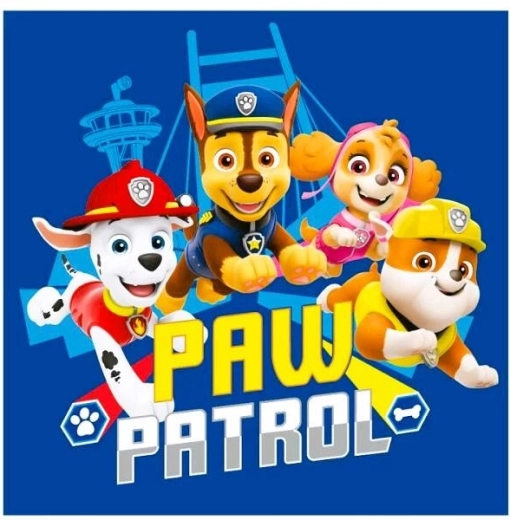 Gesichtshandtuch Paw Patrol