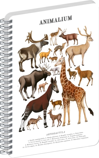Notique Spiralblock Animalium – Paarhufer, blanko, A4