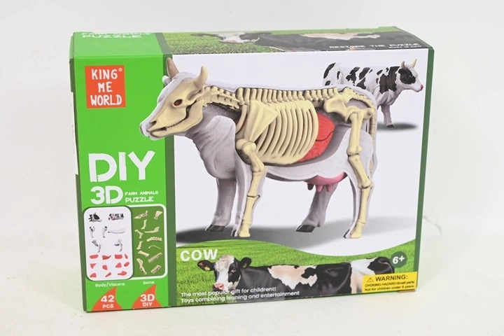 Anatomisches Kuhmodell für Kinder