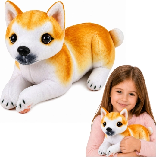 Plüschhund Shiba Inu 25 cm