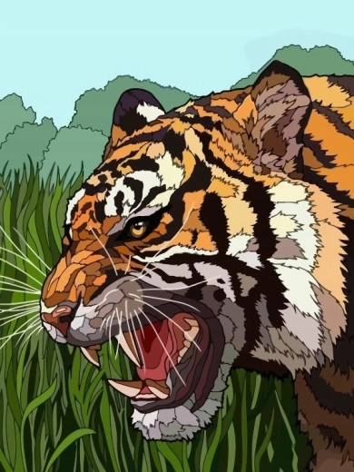 Malen nach Zahlen brüllender Tiger im Gras 40 × 50 cm