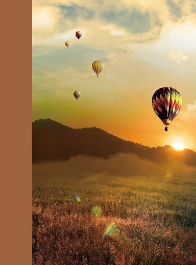 Fotoalbum CONCORDE DRS 30 mit selbstklebenden Seiten (30 Blätter)