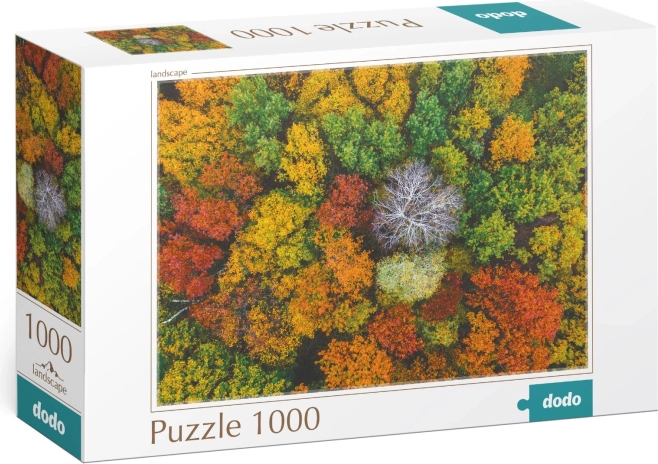 Puzzle DODO Dzembronya, Ukraine – 1000 Teile