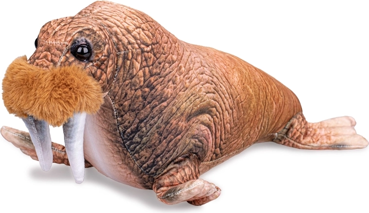 Plüsch-Walross 40 cm