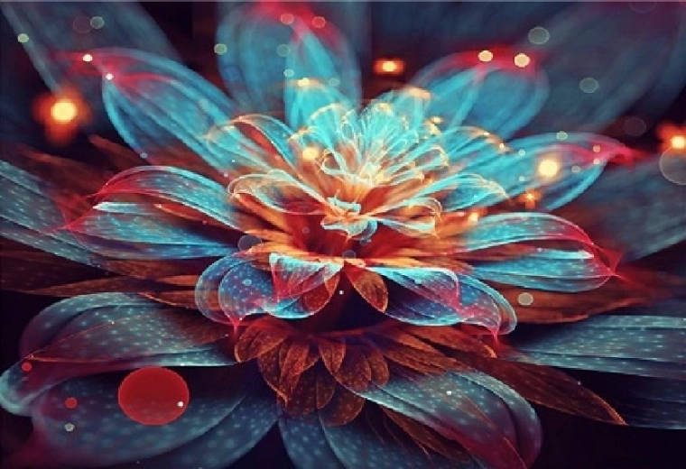 Diamantmalerei Seerose 30 × 40 cm