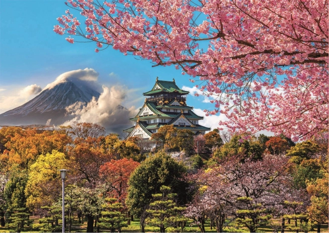 Educa Puzzle Burg in Ōsaka, Japan 2000 Teile