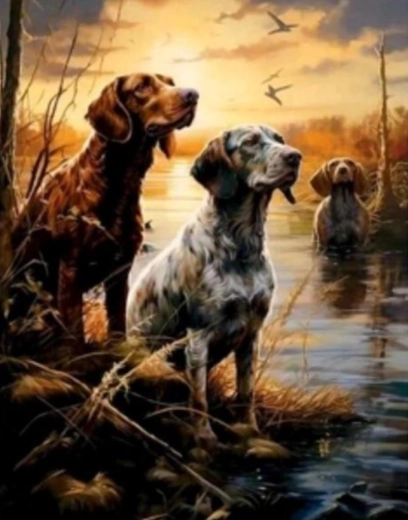 Diamantmalerei Sümpfe 30 × 40 cm