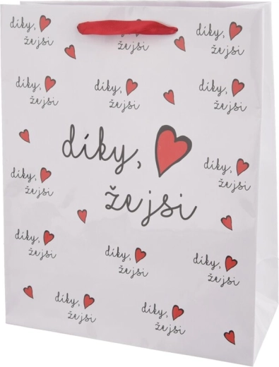 Papier-Geschenktüte „Danke, dass es dich gibt“ 26 × 10 × 32 cm