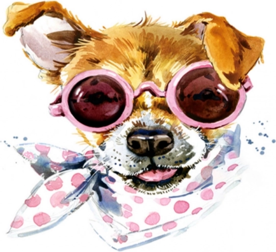 Diamant-Mosaik (Diamond Painting) Hund mit Halstuch 35 × 35 cm