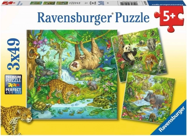 RAVENSBURGER Puzzle Tiere im Dschungel 3×49 Teile