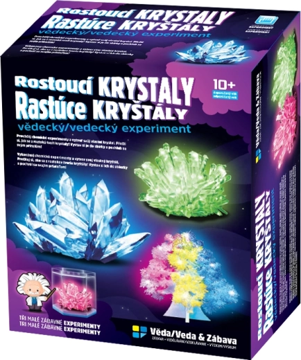 Kristallzucht-Set für Kinder