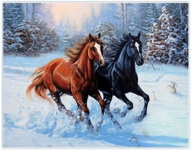 Norimpex Diamantmalerei Laufende Pferde im Schnee 30 × 40 cm
