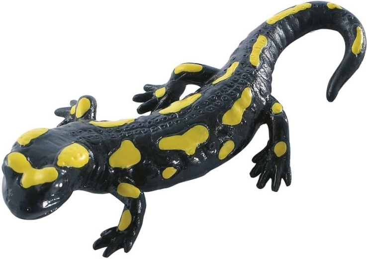 Feuersalamander