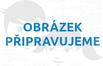 Schylling Spielzeugkatalog 2026 auf Englisch