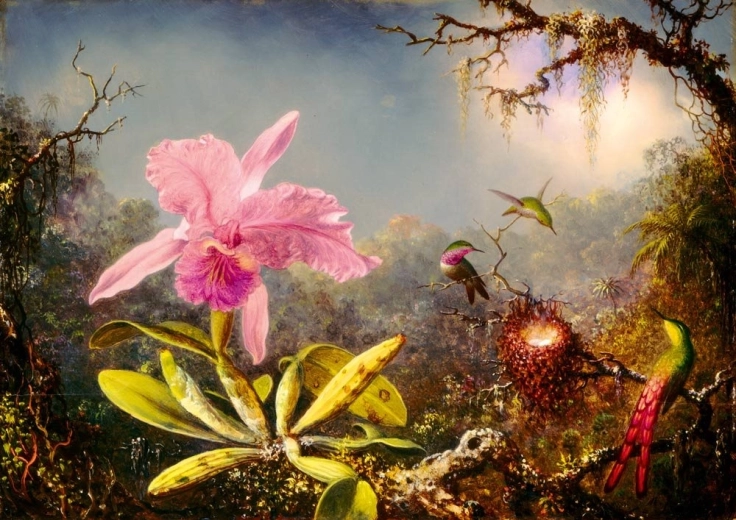Puzzle Bluebird Cattleya und drei Kolibris 1000 Teile