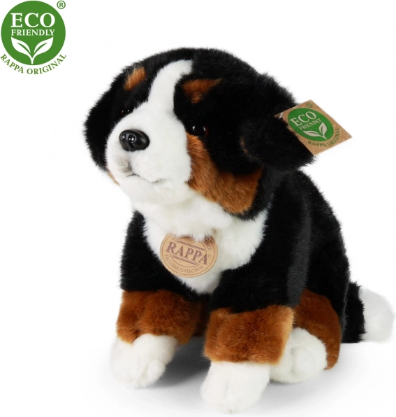 Plüsch‑Berner Sennenhund 25 cm – RAPPA (umweltfreundlich)