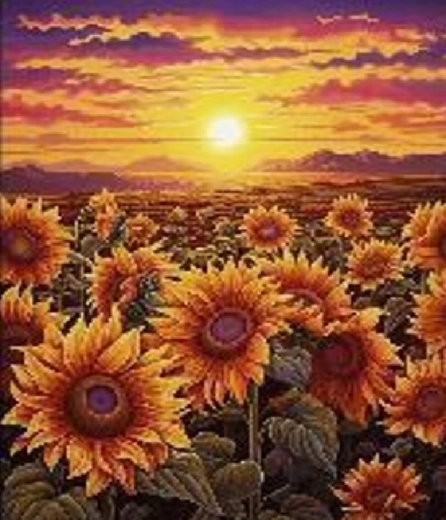 Diamantmalerei Sonnenuntergang zwischen Sonnenblumen 30 × 40 cm