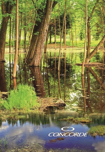 Eintragungsbuch A4 mit 8-mm-Linierung, 200 Blatt