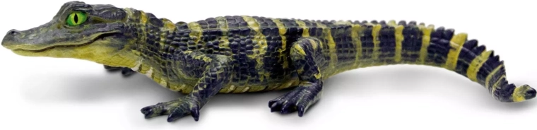 Safari Ltd. Figur eines jungen Alligators