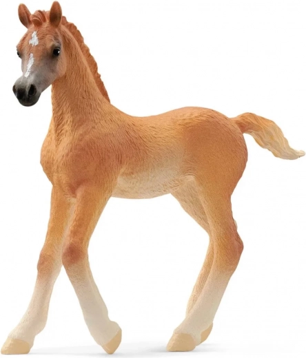 Arabisches Fohlen SCHLEICH Horse Club