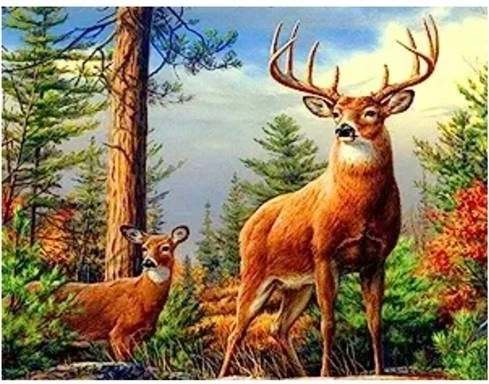 Norimpex Diamantmalerei Hirsch in den Bergen 30 × 40 cm