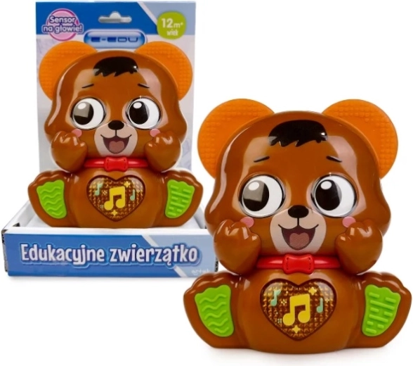 E-edu musikalischer Teddybär