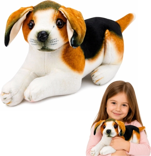 Plüschhund Beagle 25 cm