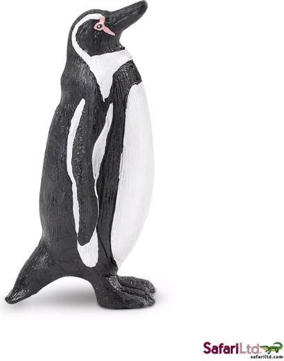 Humboldt-Pinguin