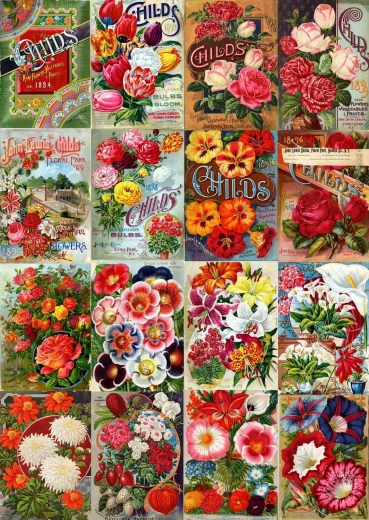 Enjoy Puzzle Vintage-Katalog mit Blumensamen 1000 Teile