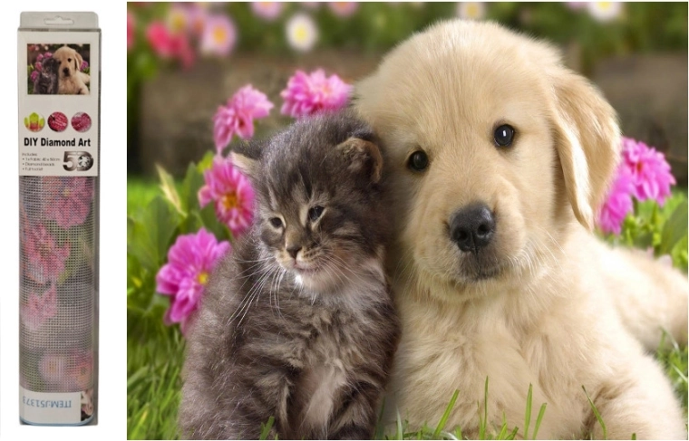 Diamantmosaik Hund und Katze