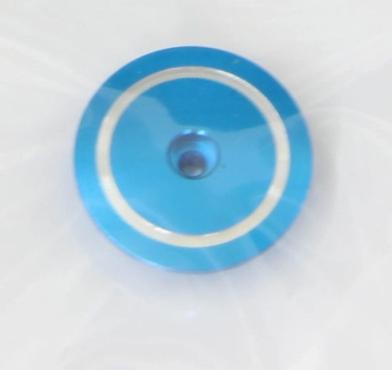 Sicherungselement des Rotors für E-Rix450V2