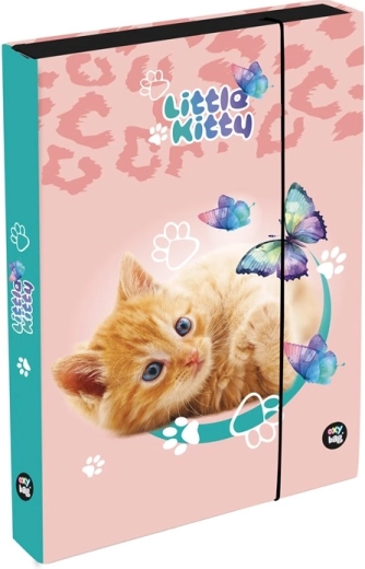 Heftbox A5 Jumbo mit Katzenmotiv