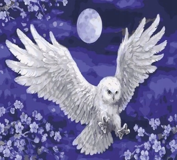 Norimpex Malen nach Zahlen Eule und Mond 40 × 50 cm