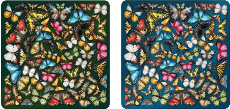 Beidseitiges Holzpuzzle Curiosi Double: Schmetterlinge 165 Teile
