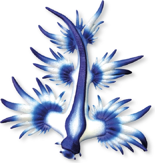 Bullyland Blauer Meeresschnecke Figur