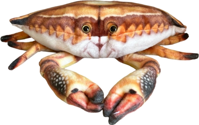 Plüschkrabbe 31 cm