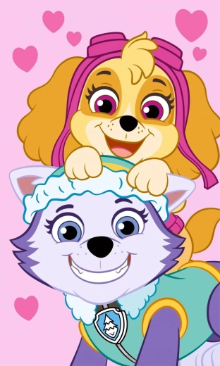 Paw Patrol Handtuch 30 × 50 cm rosa