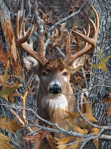 Diamantmalerei – Blick des Hirsches 30 × 40 cm