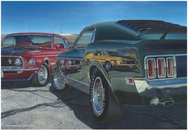 ANATOLIAN Puzzle Geschwindigkeit 500 Teile