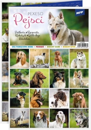 Pexeso für Kinder Hunde auf 3xA4