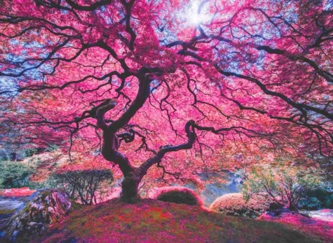 Puzzle Rosa Baum 1000 Teile