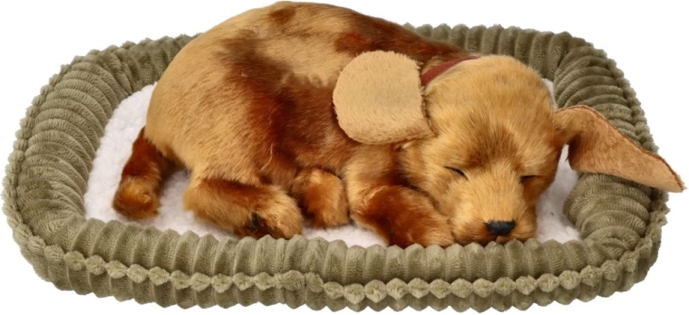 Atmender Mischlingshund zur Adoption