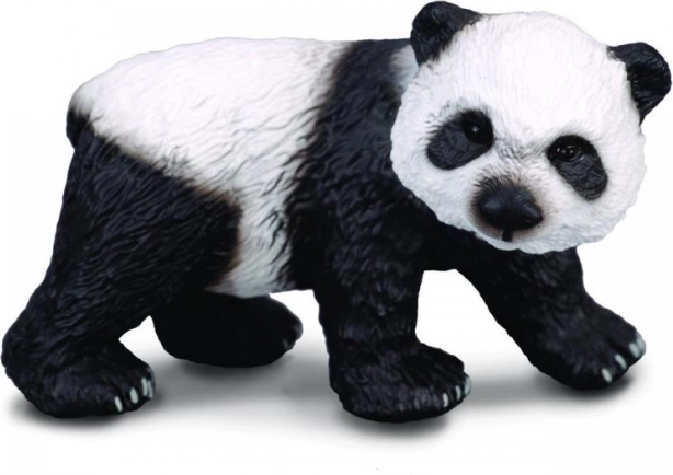 Großer Panda – Jungtier