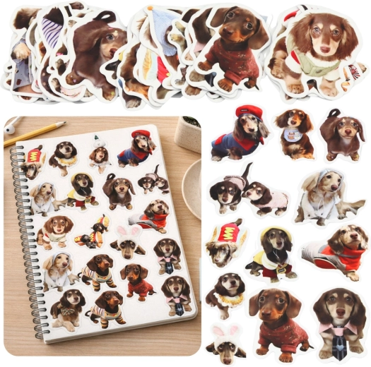 Set aus 50 Papiersicker mit Spaniels