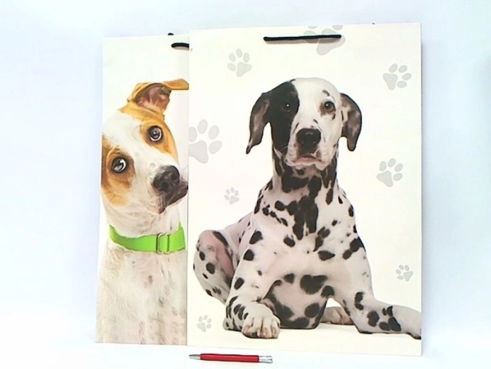 Geschenktüte XL