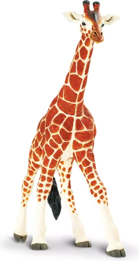 Safari Ltd. Netzgiraffe – 1 Stück