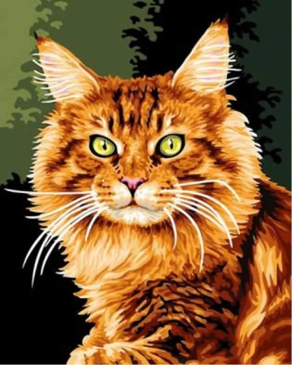 Norimpex Diamantmalerei Rotgetigerte Katze 30 × 40 cm